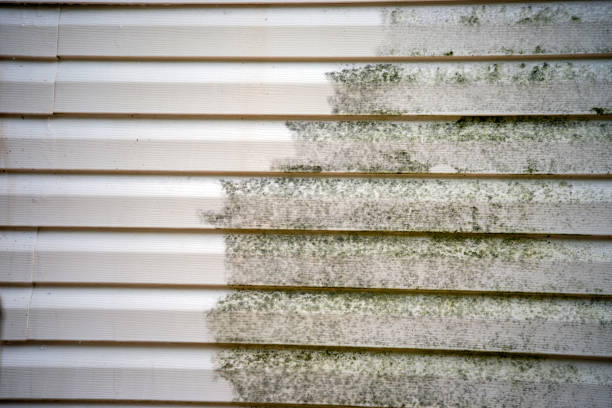 Property Management Cleanouts in Coram, NY